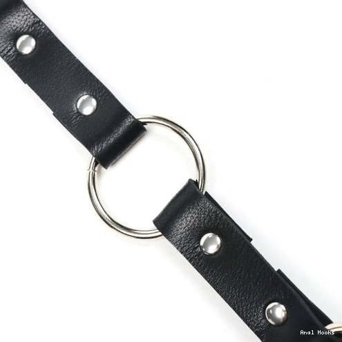 Anal Hooks with Collar 5853 Leash Hook and Kinky Anal EverydayUse 1005